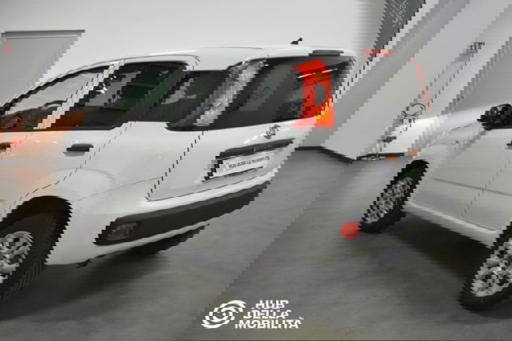 Fiat Panda usata a Perugia (6)