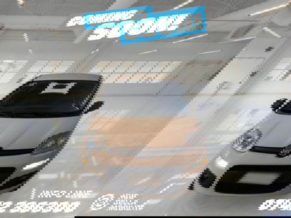 Fiat Panda usata a Perugia