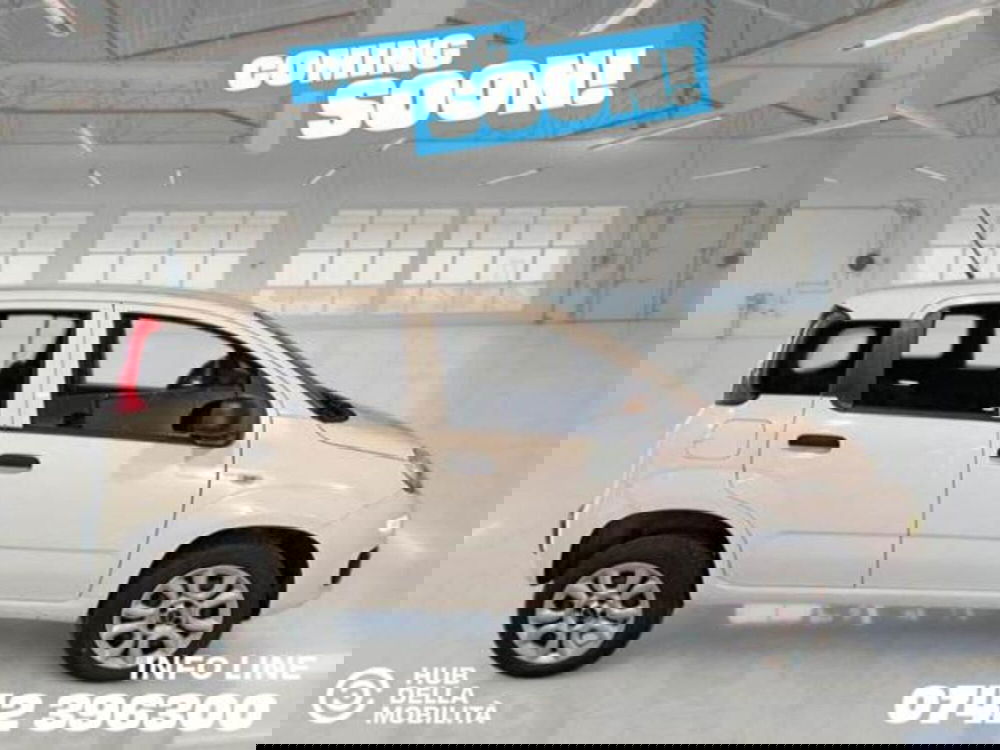 Fiat Panda usata a Perugia (3)