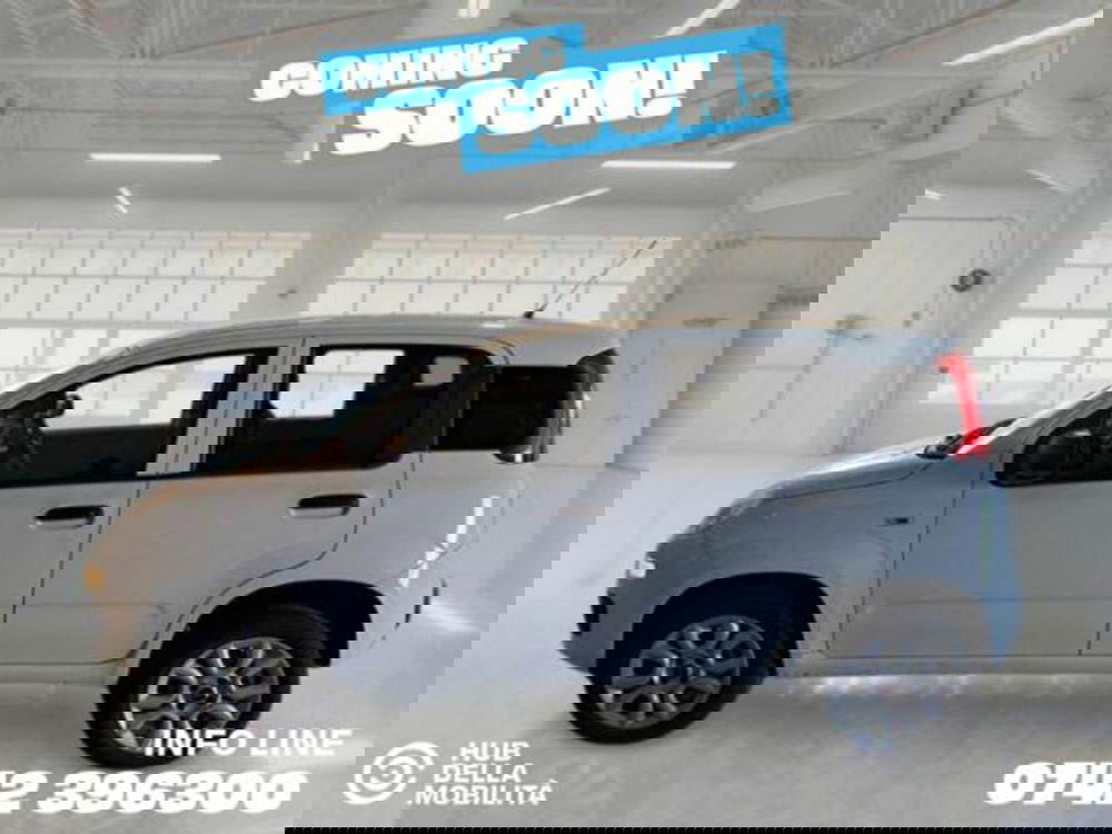 Fiat Panda usata a Perugia (4)