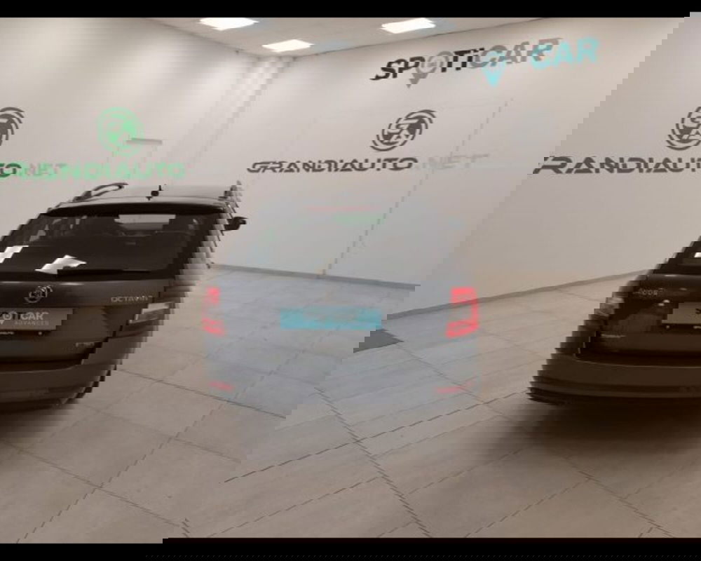 Skoda Octavia Station Wagon usata a Alessandria (8)