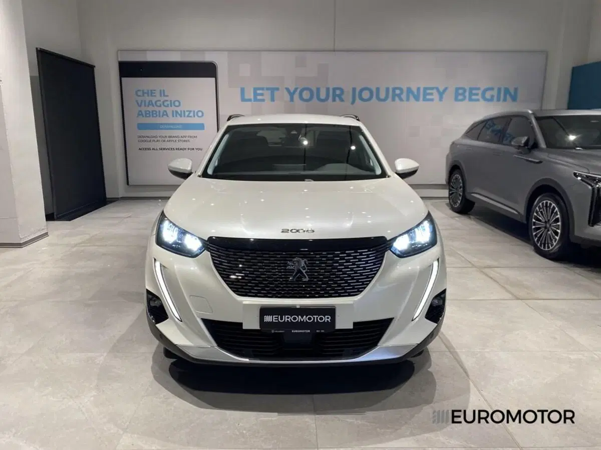 Peugeot 2008 usata a Bari (2)