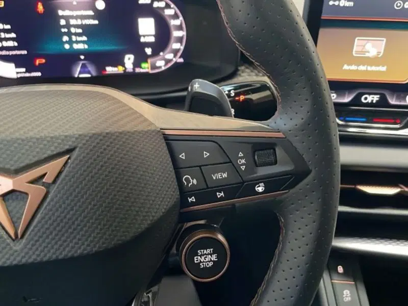 Cupra Terramar usata a Vicenza (14)