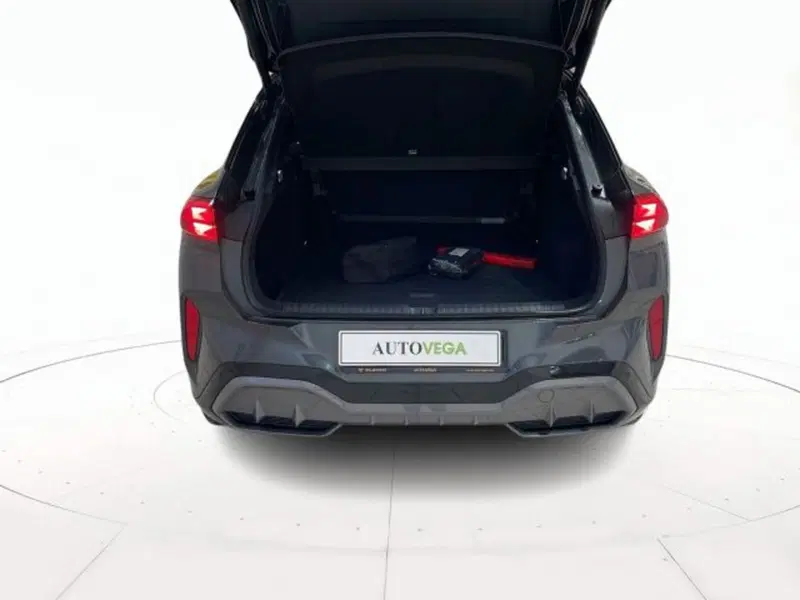 Cupra Terramar usata a Vicenza (18)