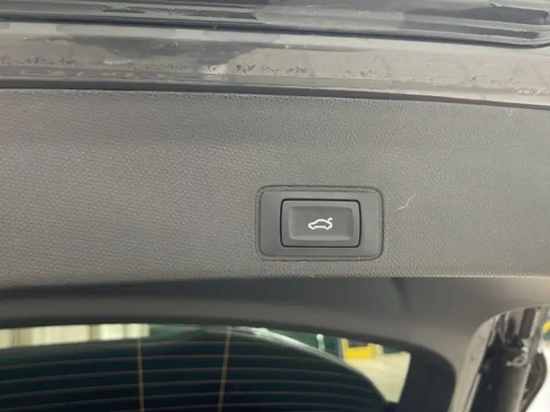 Cupra Terramar usata a Vicenza (19)