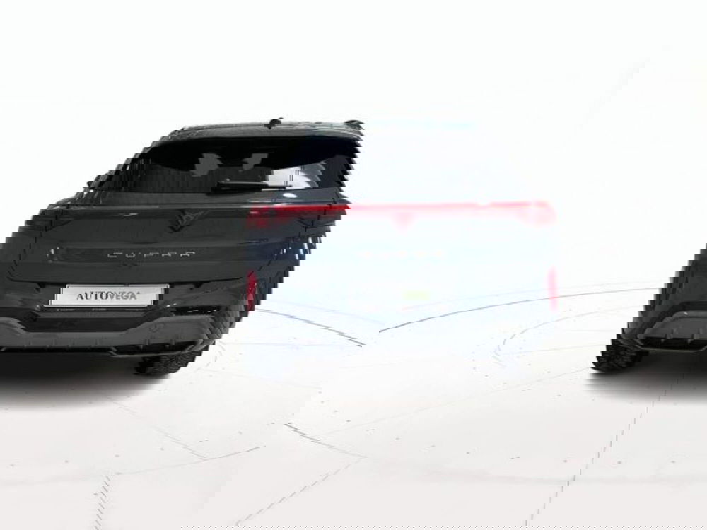 Cupra Terramar usata a Vicenza (5)