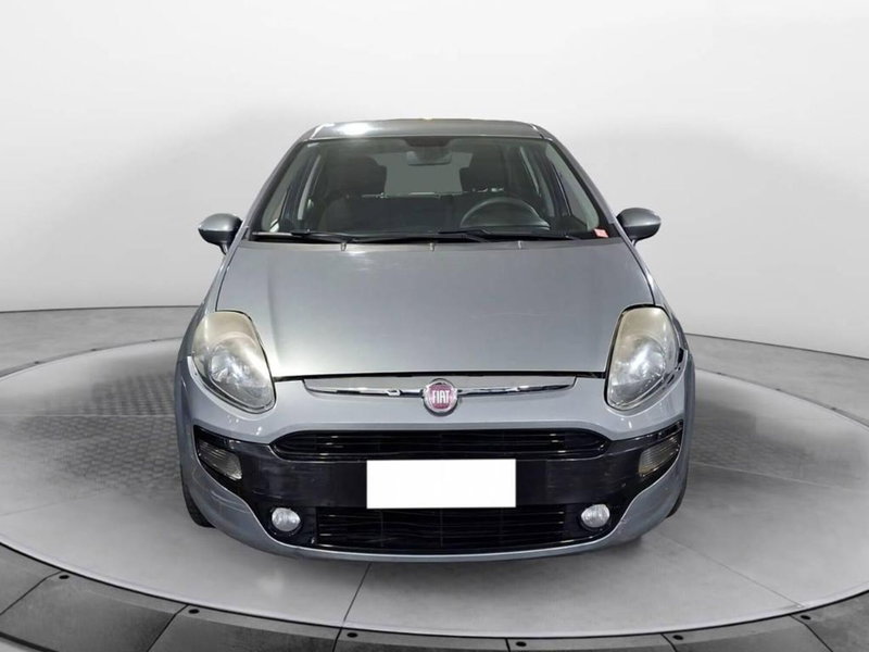 Fiat Punto Evo usata a Torino (2)