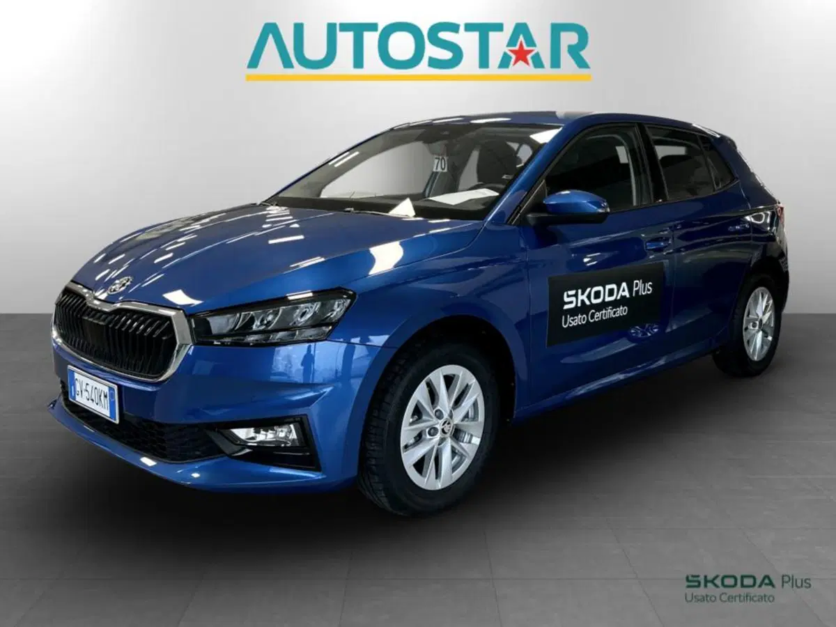 Skoda Fabia usata a Piacenza