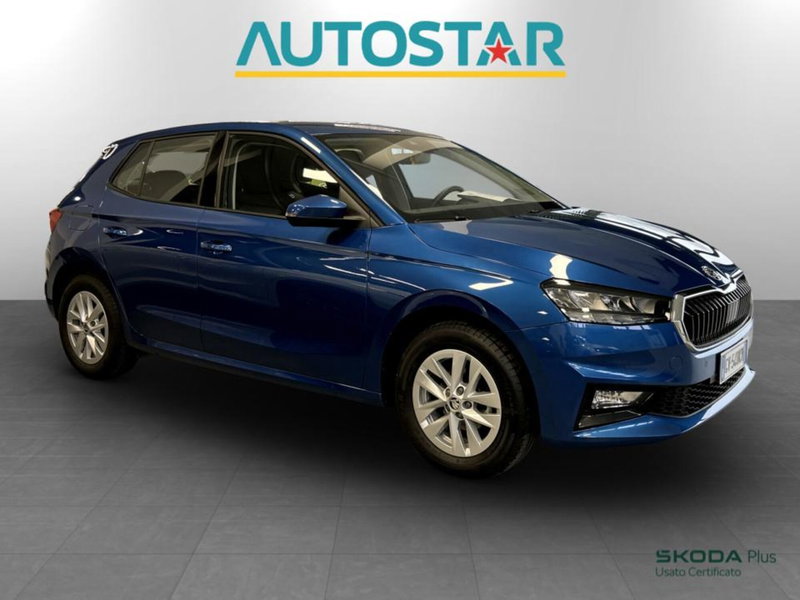 Skoda Fabia usata a Piacenza (3)