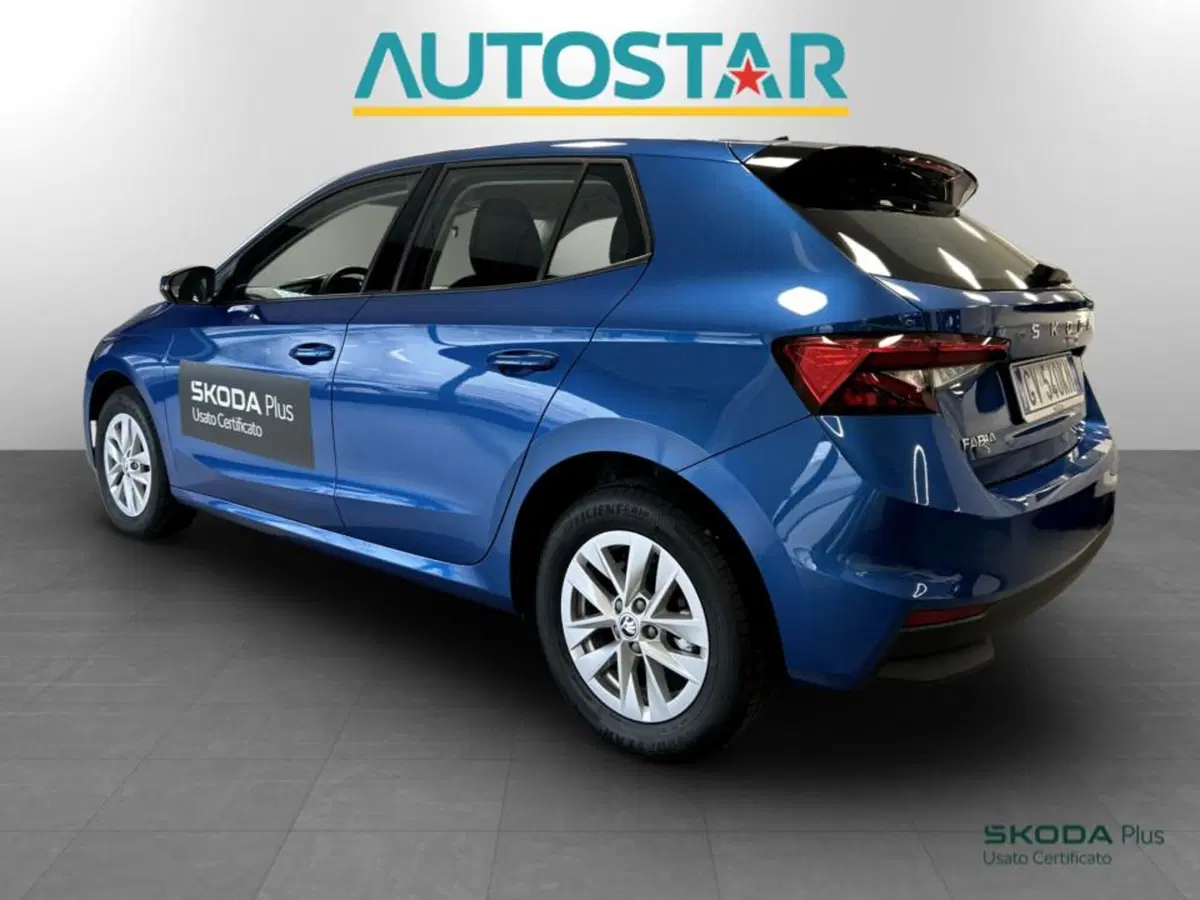 Skoda Fabia usata a Piacenza (4)