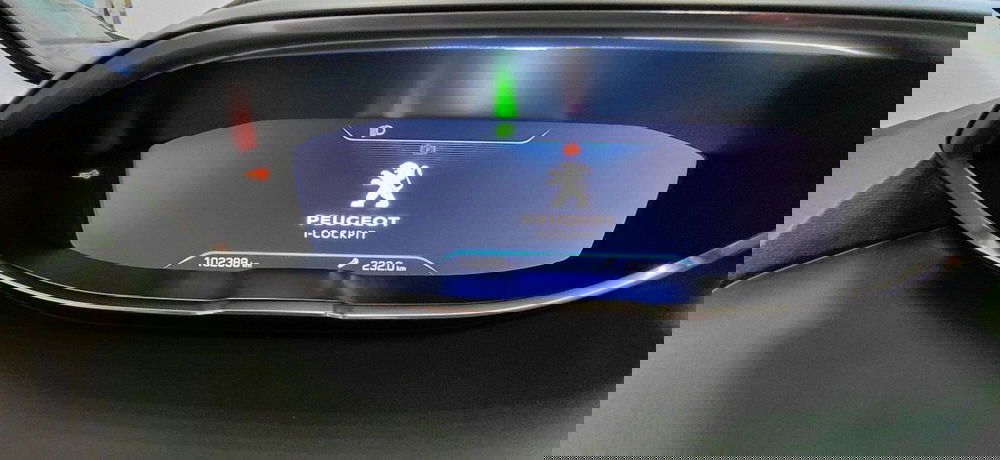 Peugeot 5008 usata a Cosenza (15)