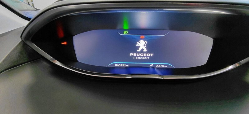 Peugeot 5008 usata a Cosenza (15)