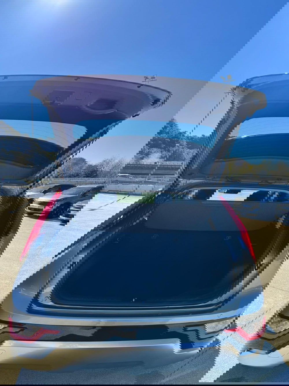 Kia Niro usata a Cosenza (9)