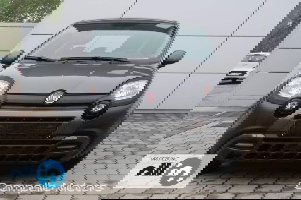 Fiat Panda usata a Venezia (2)