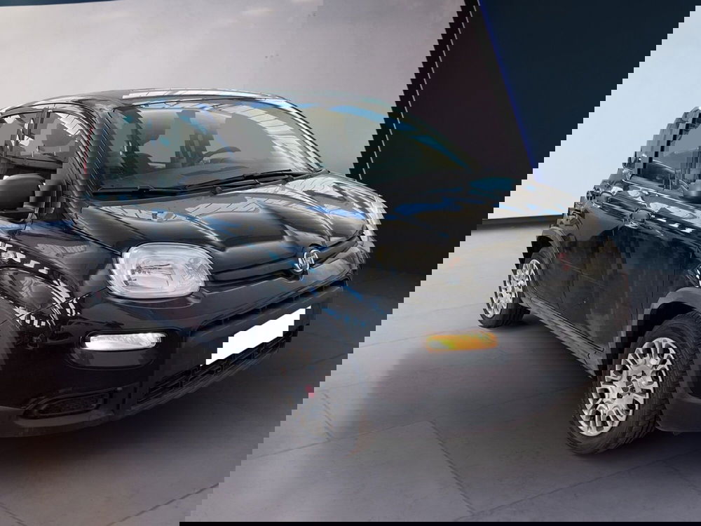 Fiat Panda usata a Torino (3)