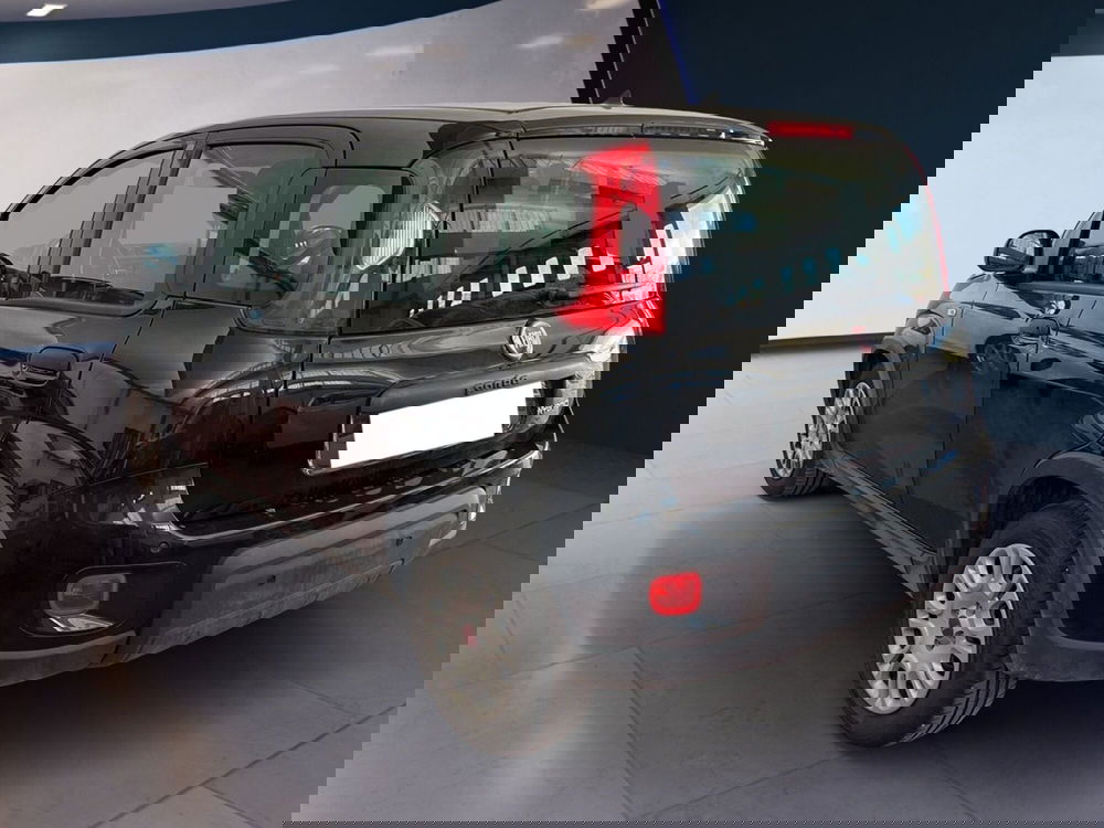 Fiat Panda usata a Torino (6)