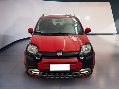 Fiat Panda 1.2 City Cross del 2020 usata a Torino
