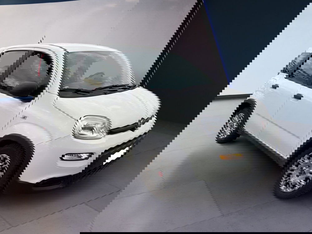 Fiat Panda usata a Torino (3)