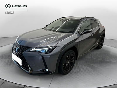 Lexus UX Hybrid 4WD Design del 2023 usata a Cremona