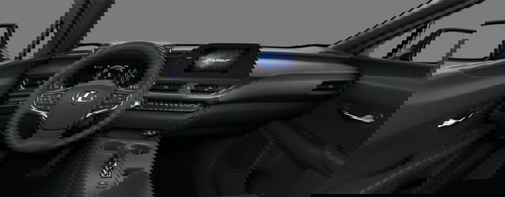 Lexus UX usata a Cremona (11)