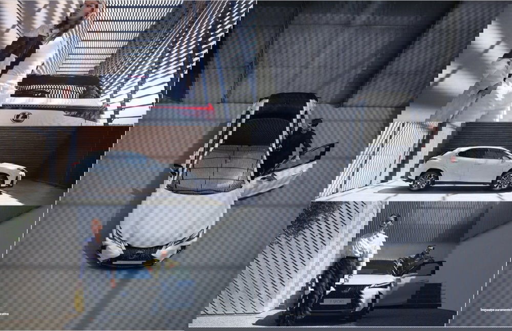 Lexus UX usata a Cremona (14)