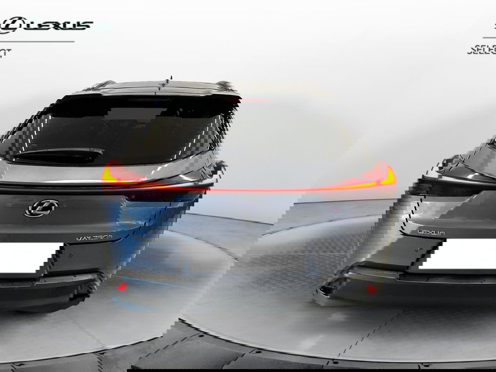 Lexus UX usata a Cremona (5)