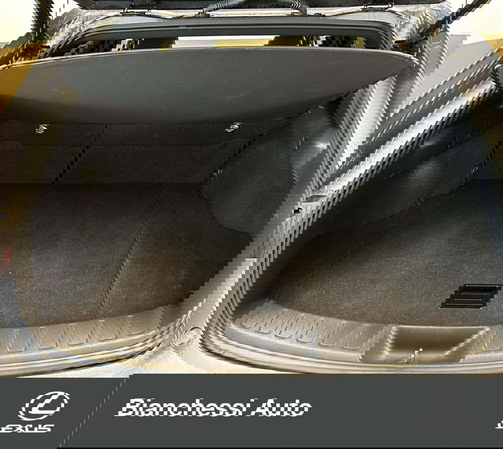 Lexus UX usata a Cremona (7)