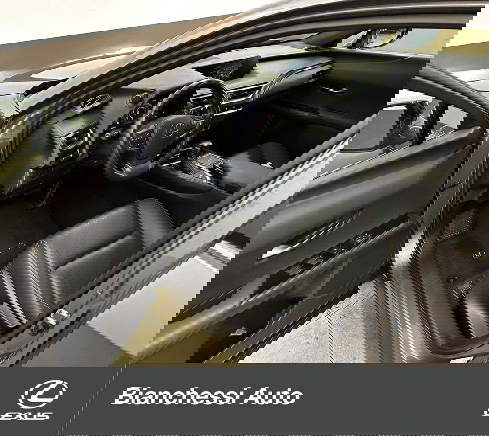 Lexus UX usata a Cremona (8)