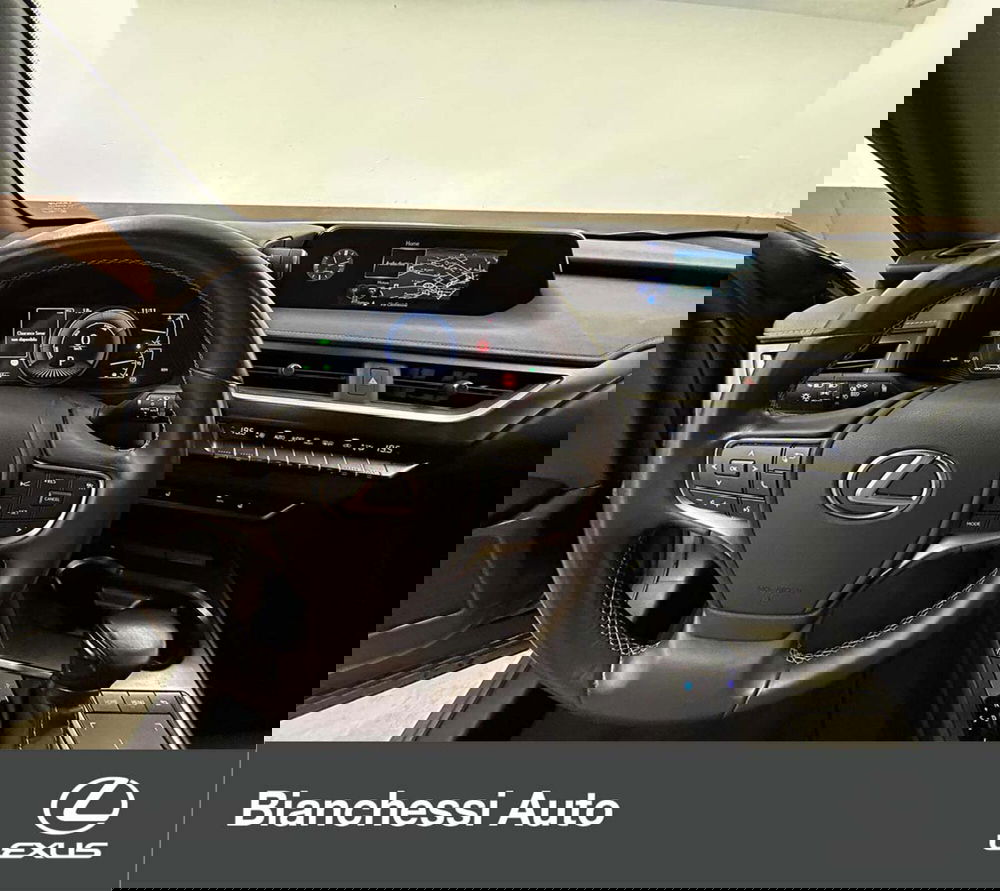 Lexus UX usata a Cremona (9)