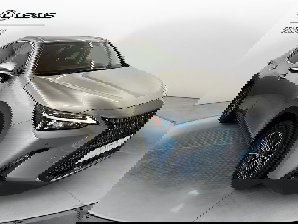 Lexus NX usata a Cremona