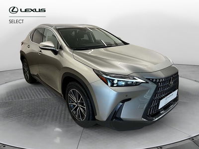 Lexus NX Plug-in 4WD Premium del 2025 usata a Cremona