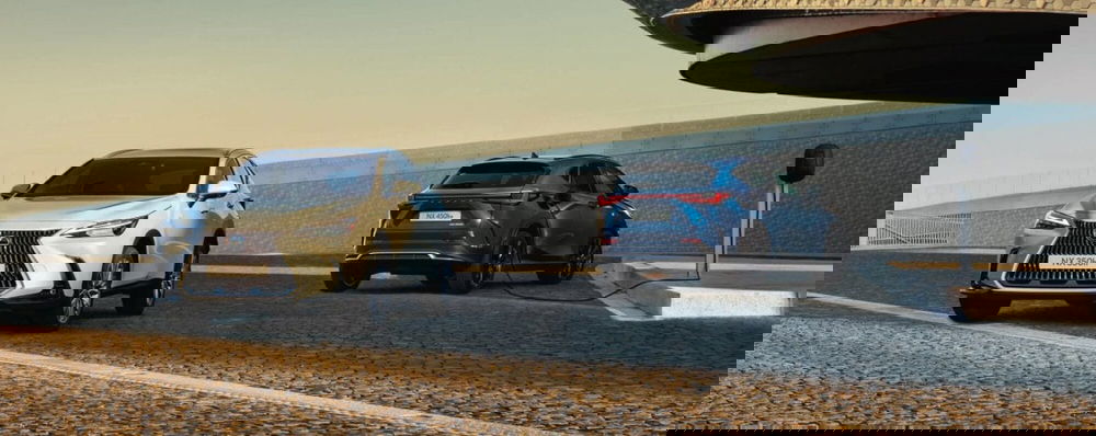 Lexus NX usata a Cremona (19)