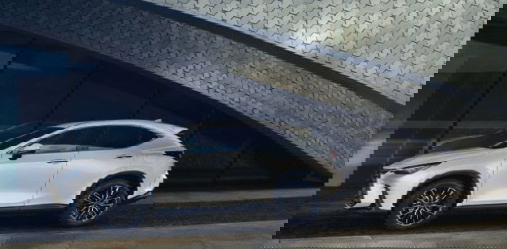 Lexus NX usata a Cremona (20)