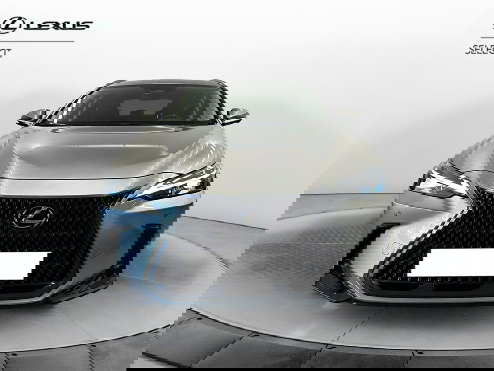 Lexus NX usata a Cremona (3)