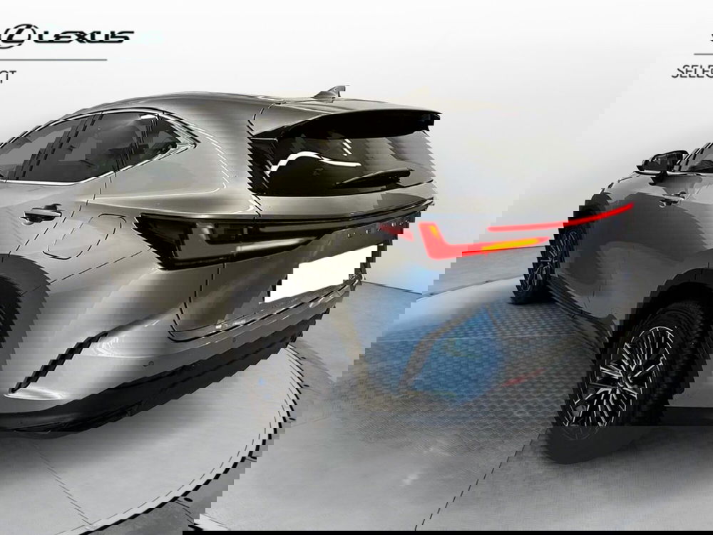 Lexus NX usata a Cremona (7)