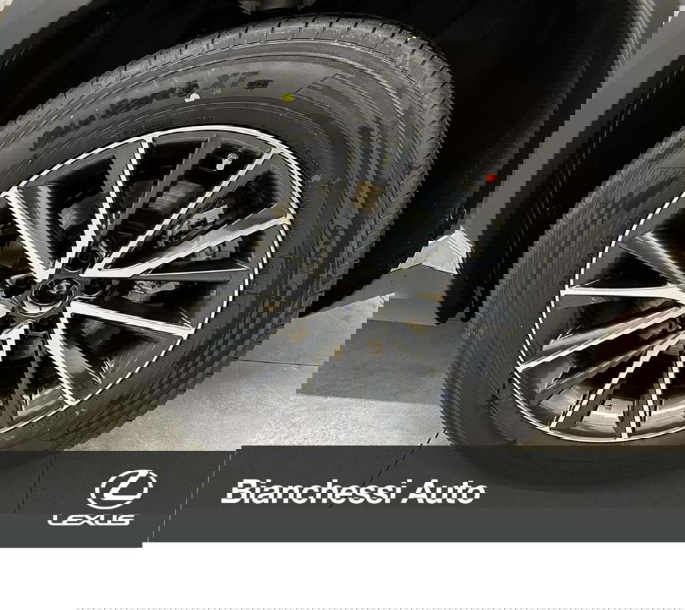 Lexus NX usata a Cremona (9)