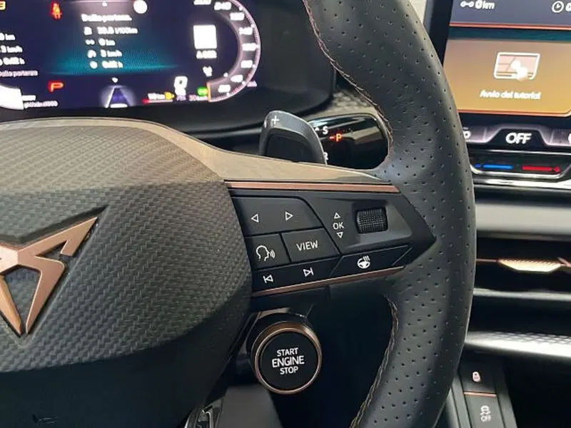 Cupra Terramar usata a Vicenza (14)