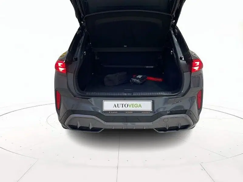 Cupra Terramar usata a Vicenza (18)