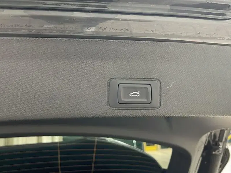 Cupra Terramar usata a Vicenza (19)