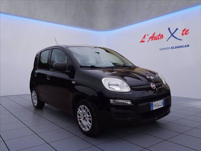 Fiat Panda 1.2 Easy del 2017 usata a Trezzano sul Naviglio