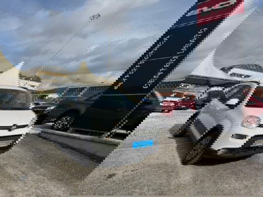 Fiat Panda usata a Massa-Carrara