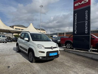 Fiat Panda 1.3 MJT 95 CV S&amp;S 4x4 del 2017 usata a Massa
