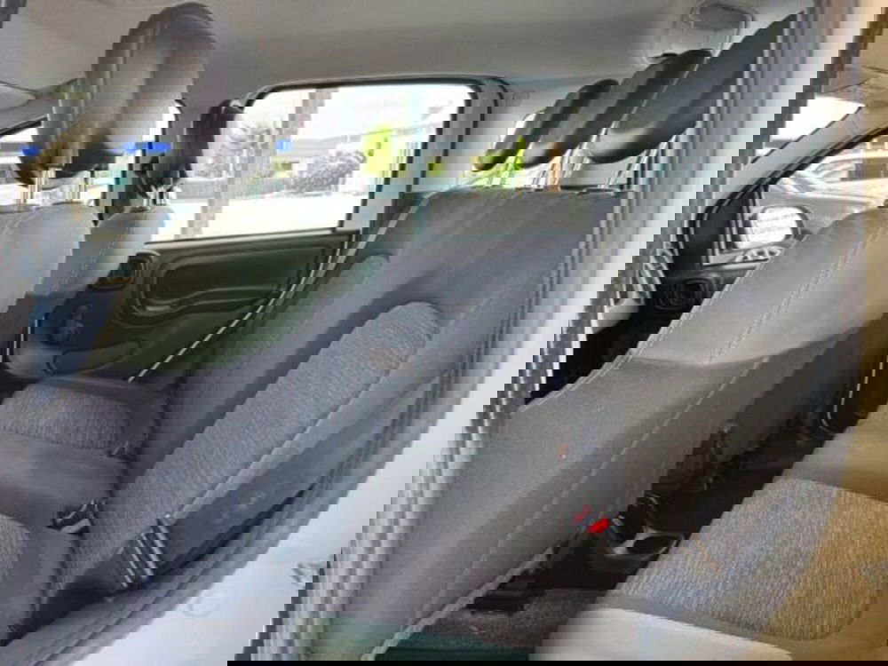 Fiat Panda usata a Massa-Carrara (10)