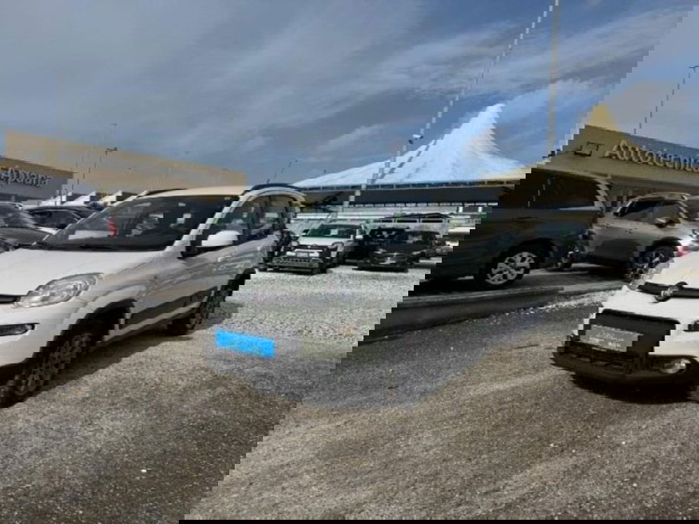 Fiat Panda usata a Massa-Carrara (2)