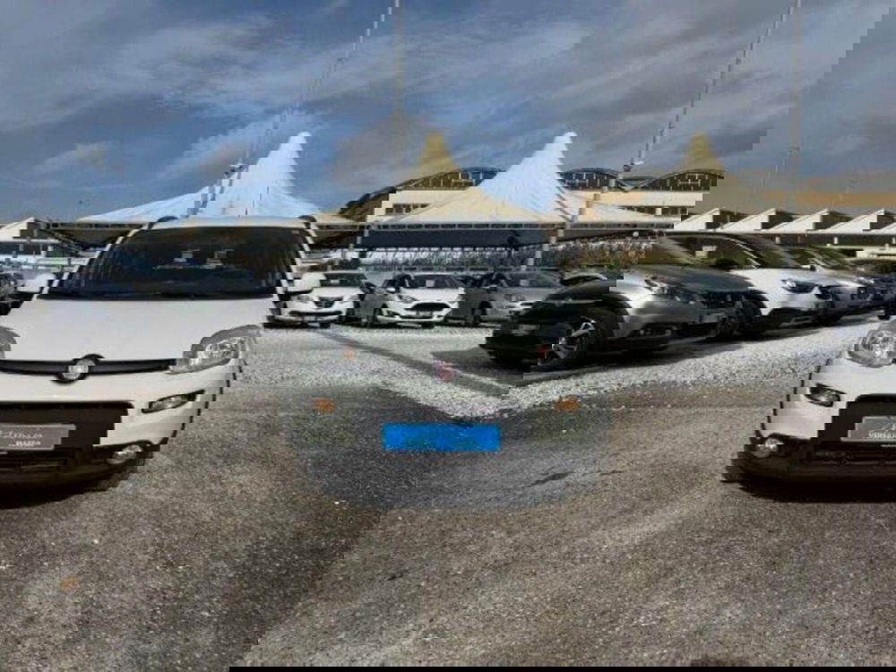 Fiat Panda usata a Massa-Carrara (3)