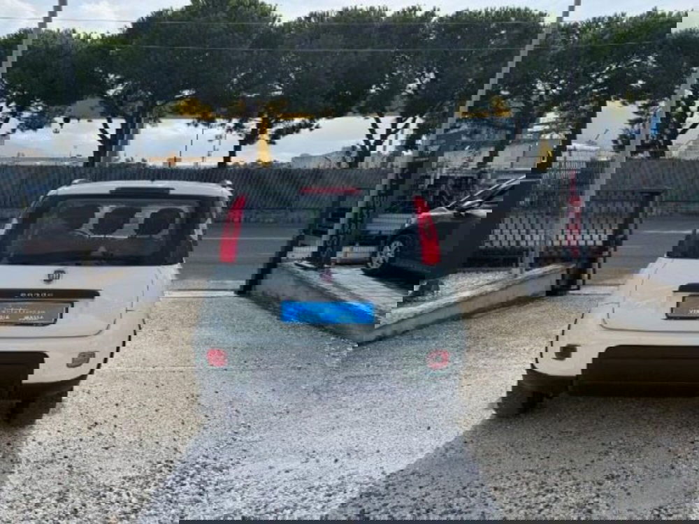 Fiat Panda usata a Massa-Carrara (5)