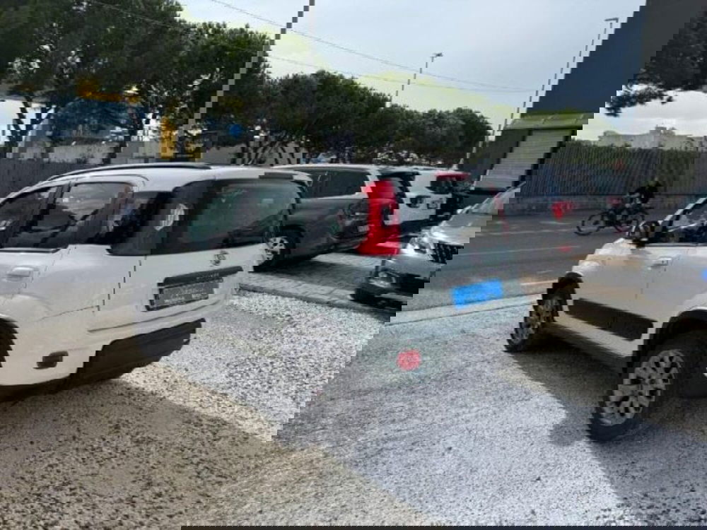 Fiat Panda usata a Massa-Carrara (6)