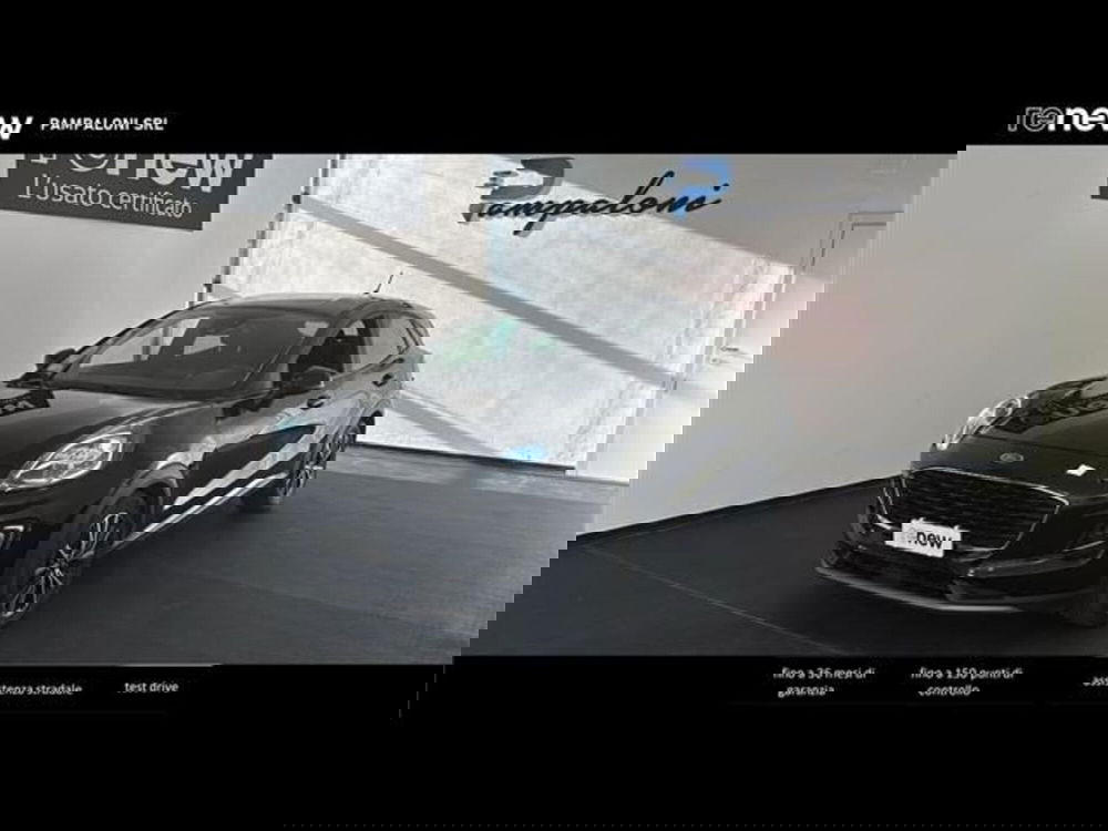 Ford Puma usata a Siena (2)