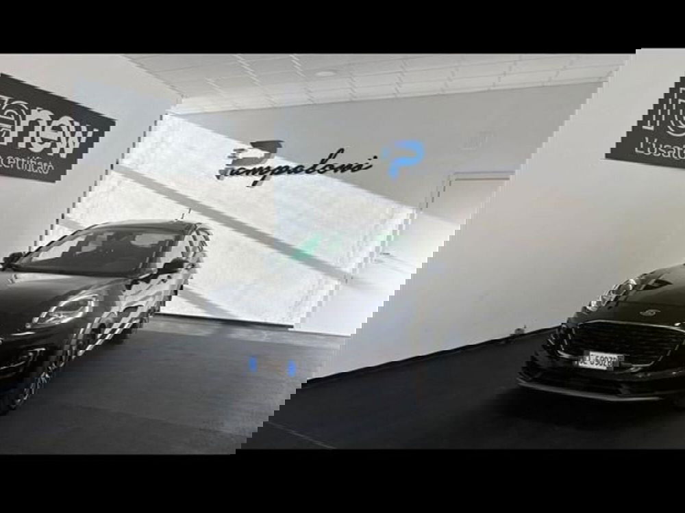 Ford Puma usata a Siena (5)