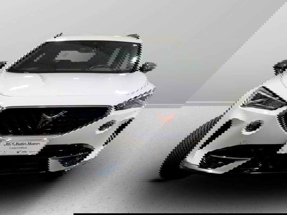 Cupra Formentor usata a Padova (7)